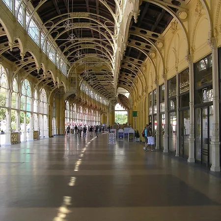 Nueva Fiesta Mariánské Lázně