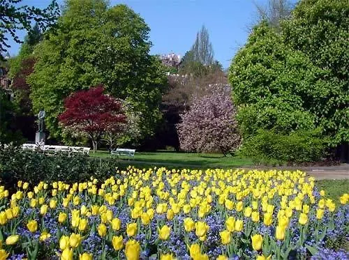 Nueva Fiesta Mariánské Lázně