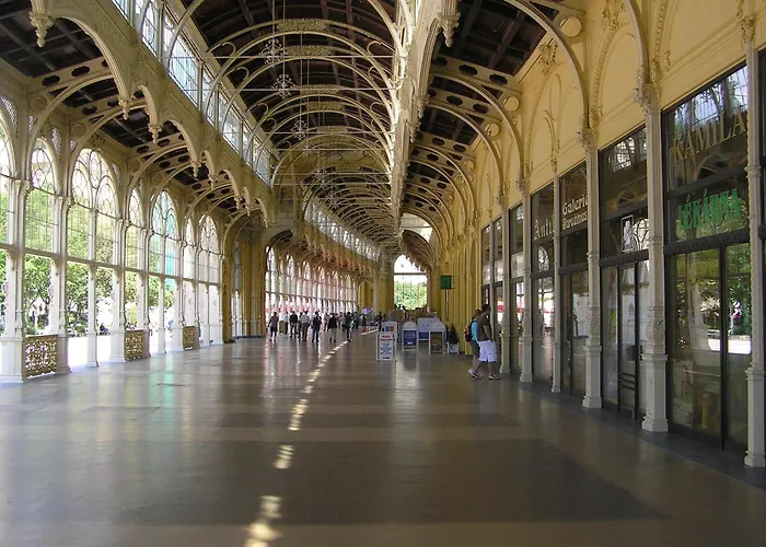 Nueva Fiesta Marianske Lazne